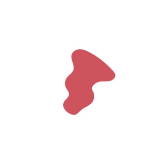 24d68ff9-placeholder-1770007021