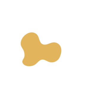 C4c772cf-placeholder-1770020882