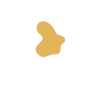 07658c6b-placeholder-1770052030