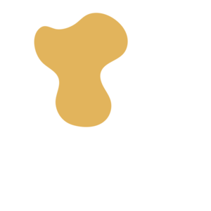 2d946959-placeholder-1770020312