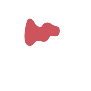 870bc27d-placeholder-1770022342