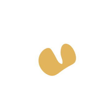 417603cb-placeholder-1770013074