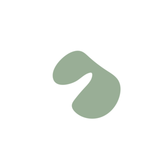 B16fbc0f-placeholder-1770006437