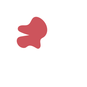 F4305745-placeholder-1770025008