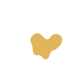 Aac900d0-placeholder-1770020239