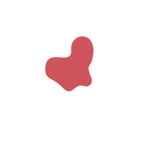 Aaa1246c-placeholder-1769192699