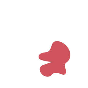 D97fa787-placeholder-1770037670