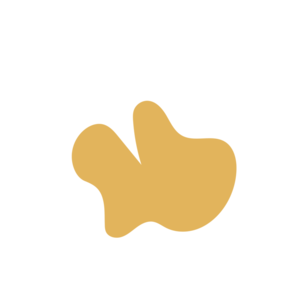 20992a07-placeholder-1770011403