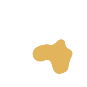 Cd63a09f-placeholder-1770026824