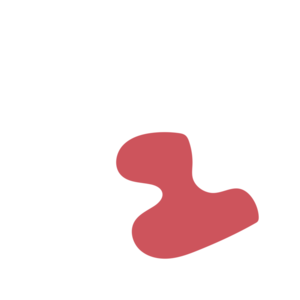 B5ab799d-placeholder-1770011403