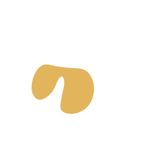 De3d8d52-placeholder-1770052301