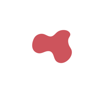 Ed058b8a-placeholder-1770013803