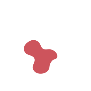 0391150b-placeholder-1770021627