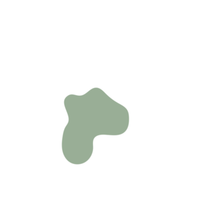 305cc224-placeholder-1770031945