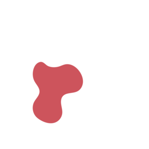 5ae88dc8-placeholder-1770009384