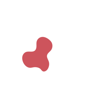 Ba77094c-placeholder-1770016461