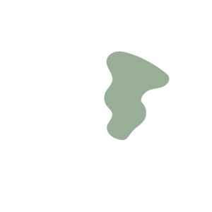 F6e35a5f-placeholder-1770040164