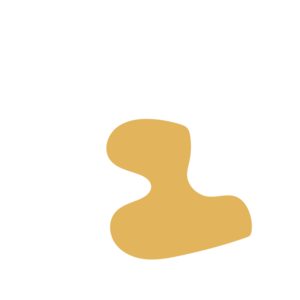 5b6805f9-placeholder-1770054551