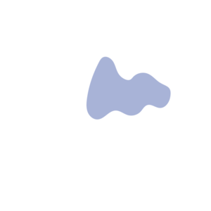 A67f795e-placeholder-1770055086