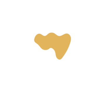 75512a86-placeholder-1770005638