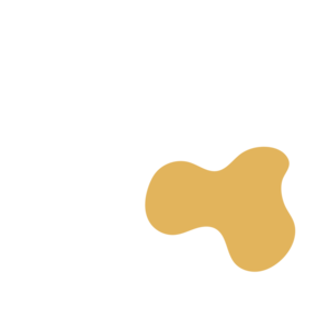 867bcebe-placeholder-1770014044