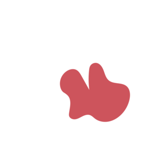 818cb43d-placeholder-1770036689