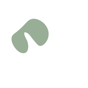 73ee381a-placeholder-1770010186