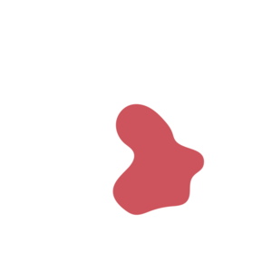 9561c4ec-placeholder-1770004897