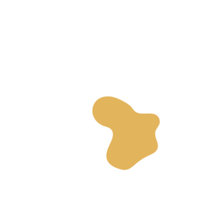 3c13bead-placeholder-1770023814