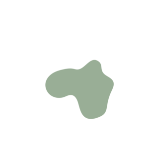 4a2f6b28-placeholder-1770028040