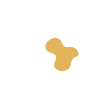 Ce2aac12-placeholder-1769754366