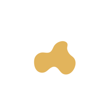 Bb5ff6ad-placeholder-1770005381