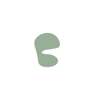 4d7a930e-placeholder-1770017517