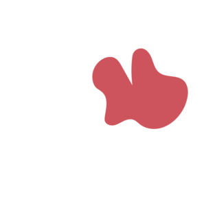 538c886e-placeholder-1770040440