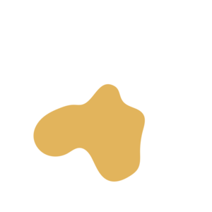 75d05e8a-placeholder-1770051197