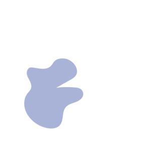 D494953a-placeholder-1770030719