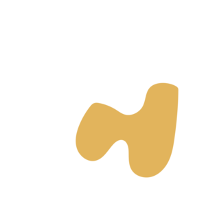 7e528fee-placeholder-1770052492