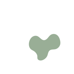 Dffc20bd-placeholder-1770012587