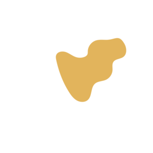 89faf1c6-placeholder-1770012784