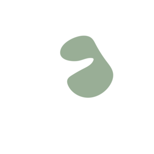 9bde290d-placeholder-1770012010