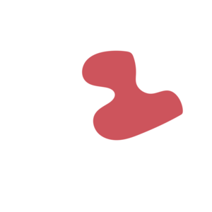 468608d8-placeholder-1770056422