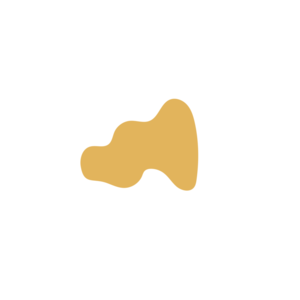 192cf7dc-placeholder-1770025760