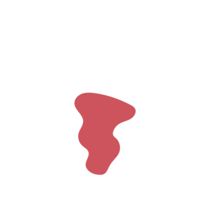 4ab80370-placeholder-1770023813