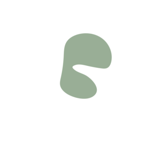 77874b35-placeholder-1770005555