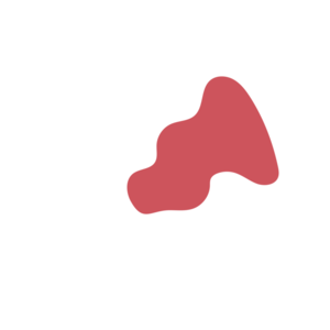 3904a5f3-placeholder-1769557745