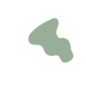 5d0dee08-placeholder-1769025208