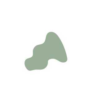 5fef5745-placeholder-1770012656