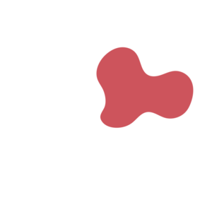 9f1ea0e8-placeholder-1770052745