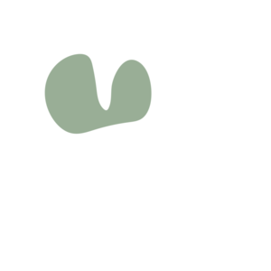 1114eff2-placeholder-1770007081