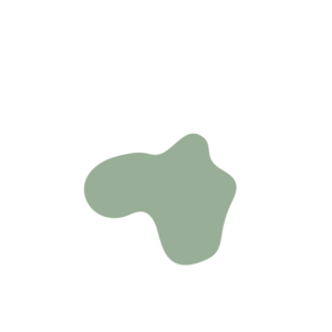 136a0472-placeholder-1770033226